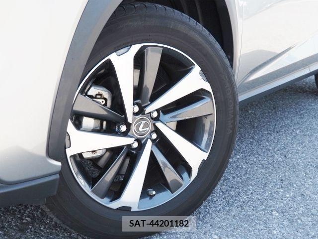 Lexus NX 2021-01 215514-8