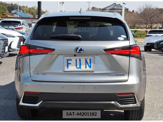 Lexus NX 2021-01 215514-6