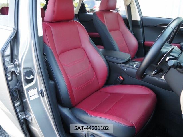 Lexus NX 2021-01 215514-11