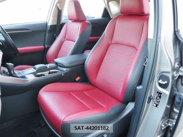Lexus NX 2021-01 215514-12