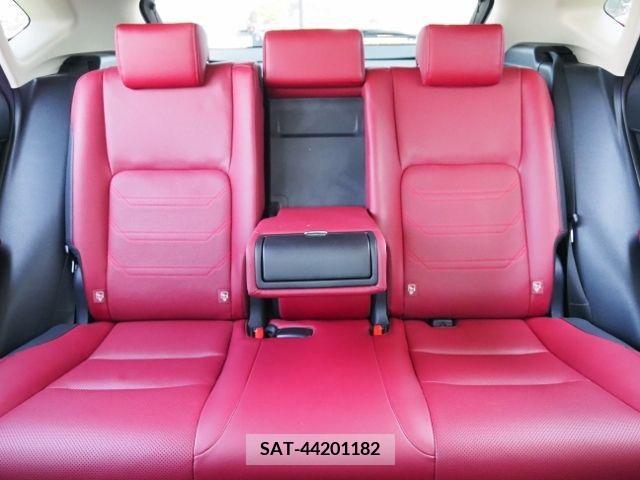 Lexus NX 2021-01 215514-13