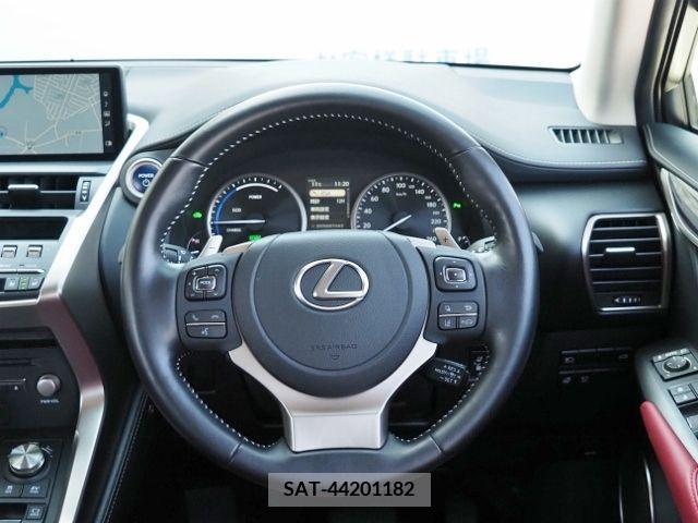 Lexus NX 2021-01 215514-19