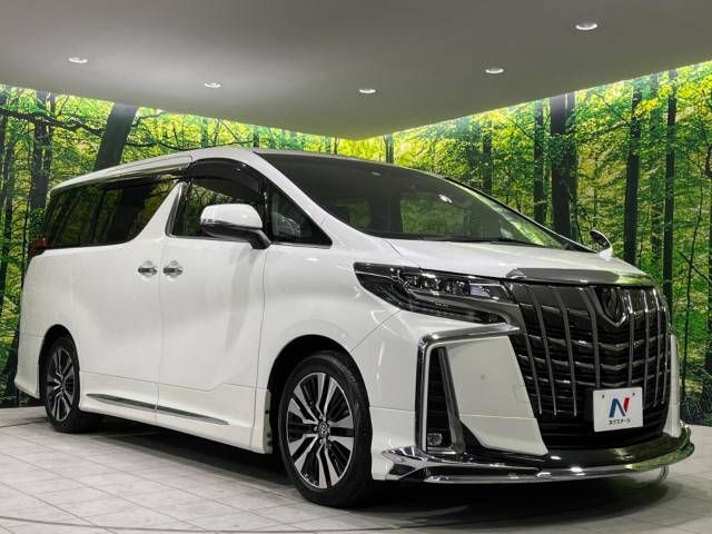 Toyota ALPHARD 2021-02 192679-17