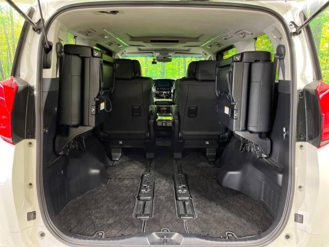 Toyota ALPHARD 2021-02 192679-12