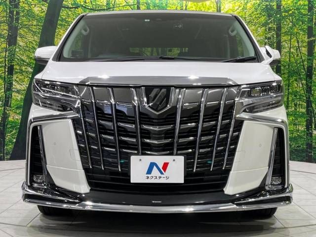 Toyota ALPHARD 2021-02 192679-15