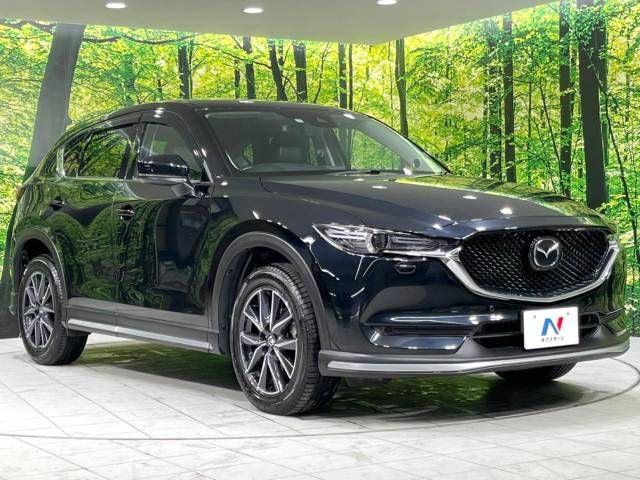 Mazda CX-5 2017-01 19491-16