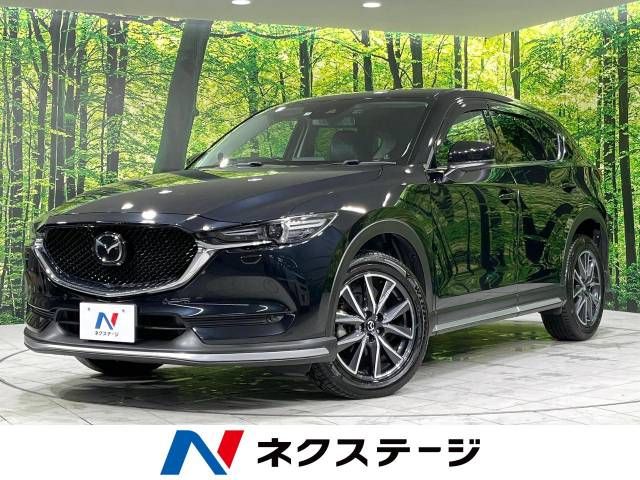 Mazda CX-5 2017-01 19491-0