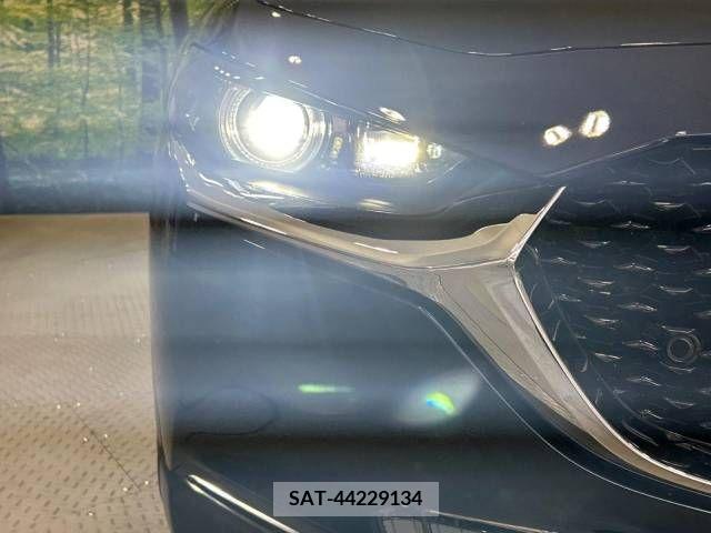Mazda CX-30 2020-09 358498-12