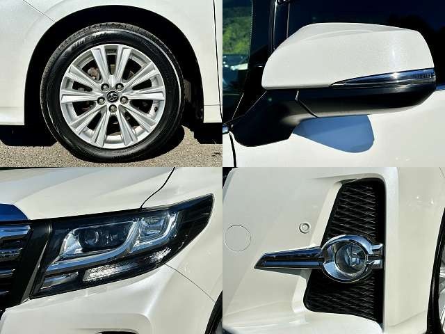 Toyota ALPHARD 2016-10 19181-4