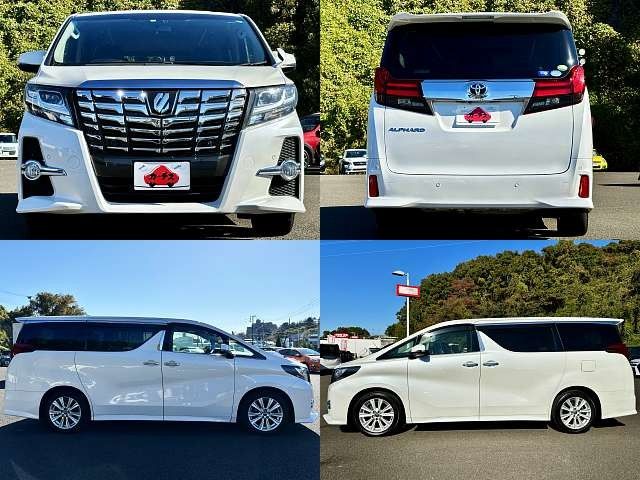 Toyota ALPHARD 2016-10 19181-3