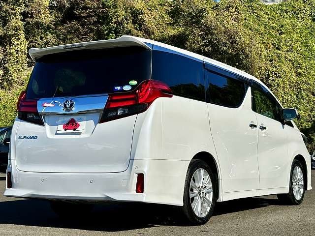 Toyota ALPHARD 2016-10 19181-2