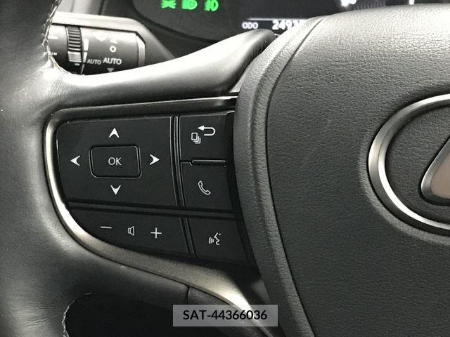 Lexus UX 2019-09 334368-17