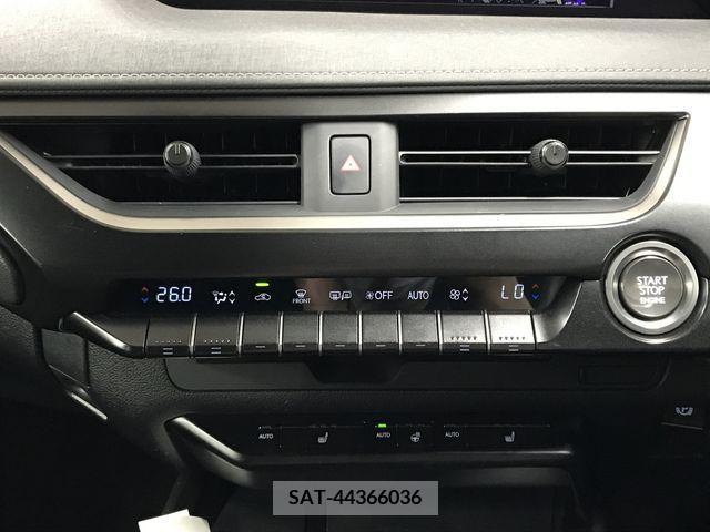 Lexus UX 2019-09 334368-28