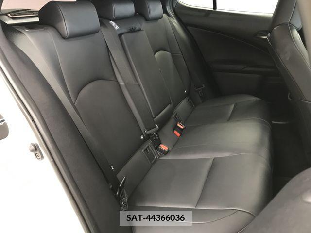Lexus UX 2019-09 334368-5