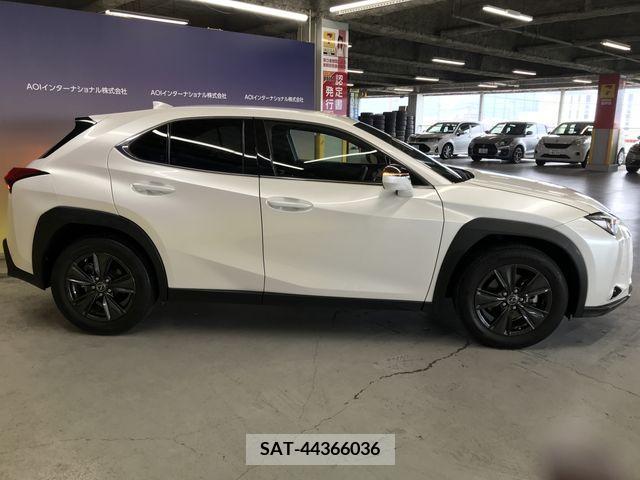Lexus UX 2019-09 334368-9