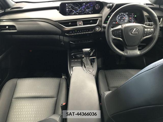 Lexus UX 2019-09 334368-6