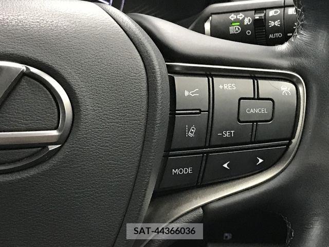 Lexus UX 2019-09 334368-18