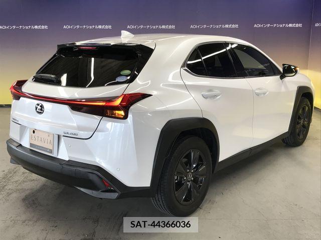 Lexus UX 2019-09 334368-10