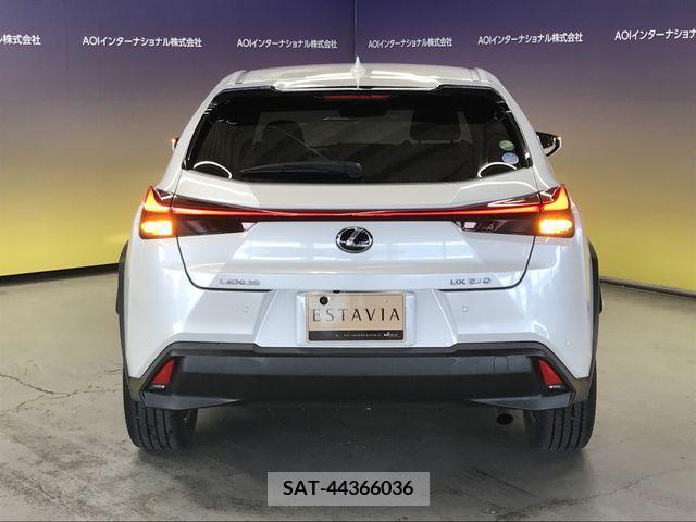 Lexus UX 2019-09 334368-11