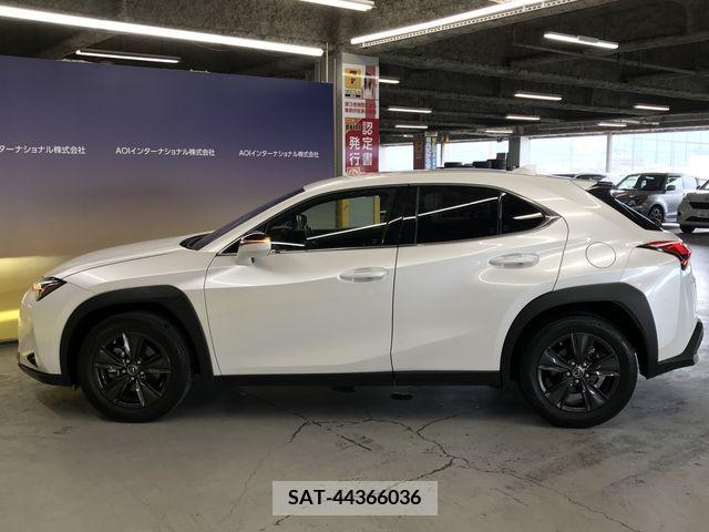 Lexus UX 2019-09 334368-13
