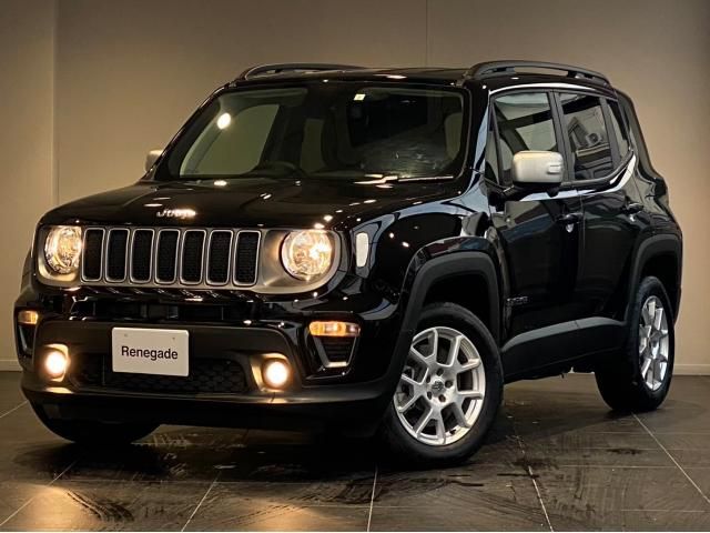 Jeep RENEGADE 2023-02 12694-0
