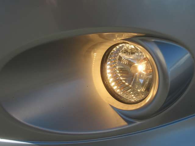 Subaru IMPREZA 2009-10 18217-7