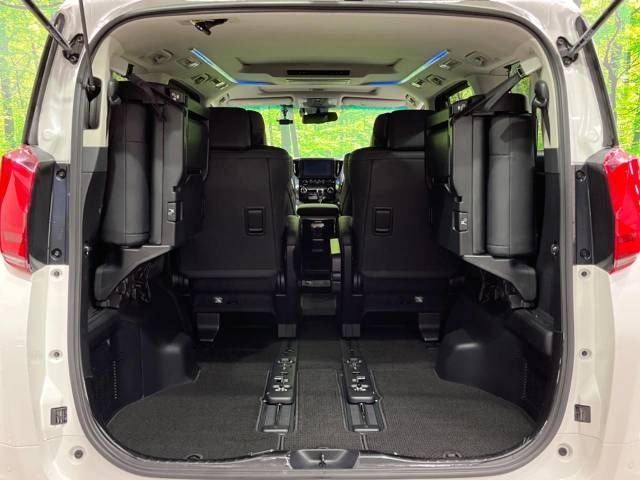Toyota ALPHARD 2021-07 180855-11