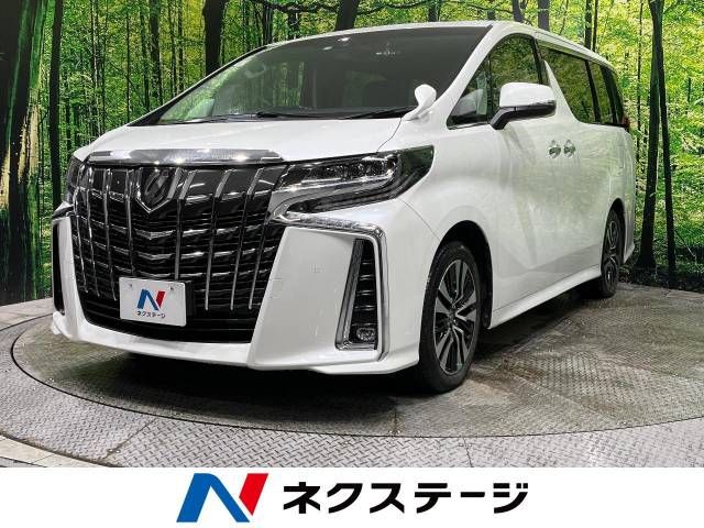 Toyota ALPHARD 2021-07 180855-0
