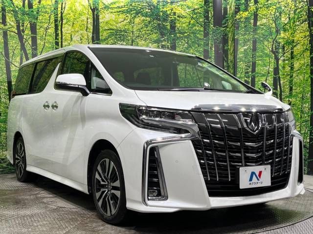 Toyota ALPHARD 2021-07 180855-17