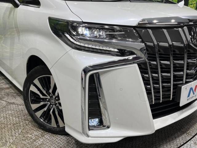Toyota ALPHARD 2021-07 180855-13