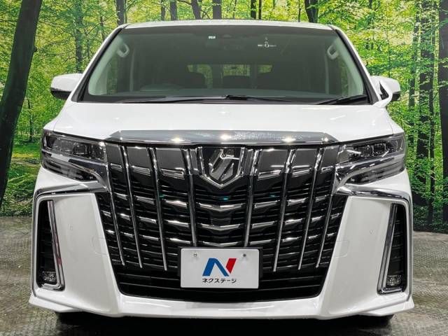 Toyota ALPHARD 2021-07 180855-15