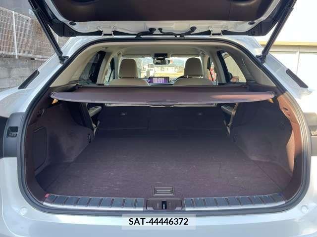Lexus RX 2016-11 334401-25