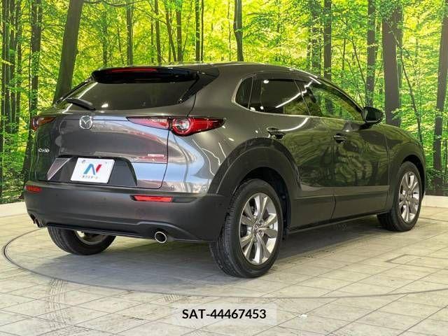 Mazda CX-30 2019-11 302101-17