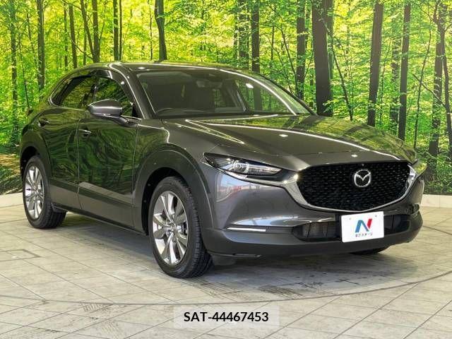 Mazda CX-30 2019-11 302101-16