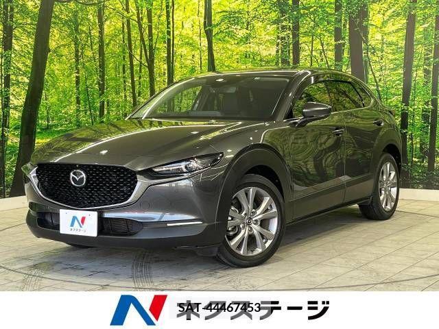 Mazda CX-30 2019-11 302101-0
