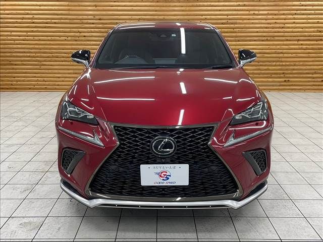 Lexus NX 2017-12 21724-13