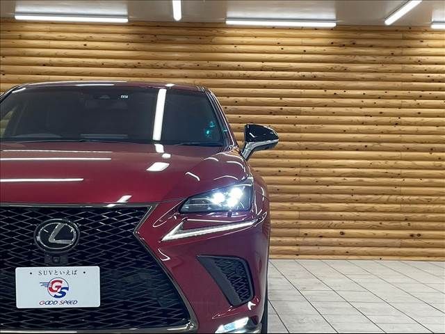Lexus NX 2017-12 21724-19
