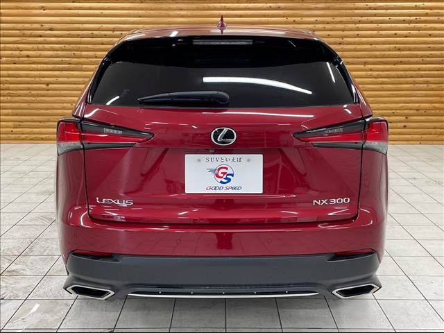 Lexus NX 2017-12 21724-15