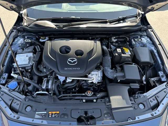 Mazda MAZDA3 2022-02 21001-29