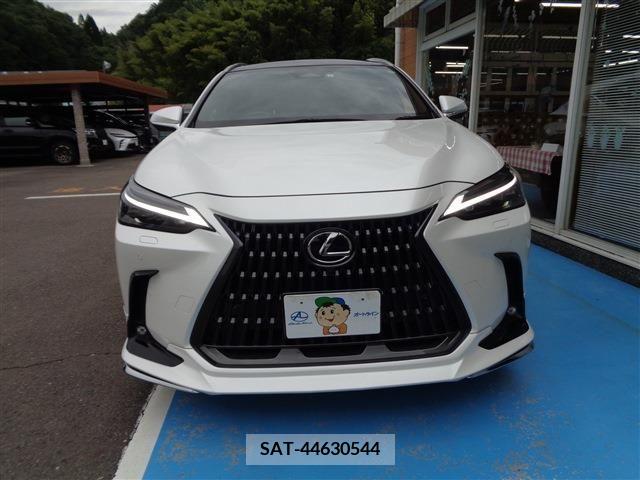 Lexus NX 2023-03 354044-17