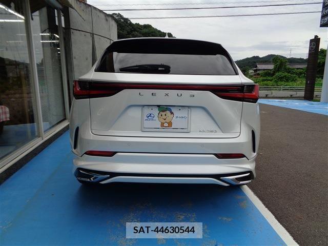 Lexus NX 2023-03 354044-5