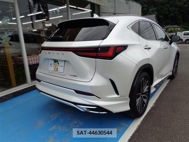 Lexus NX 2023-03 354044-4