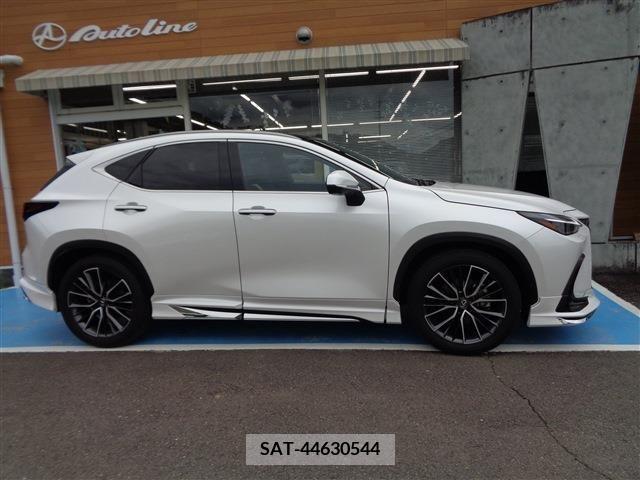 Lexus NX 2023-03 354044-1
