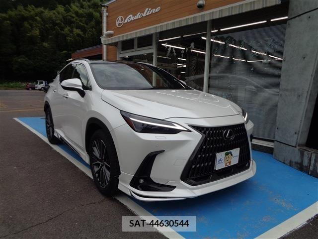Lexus NX 2023-03 354044-0