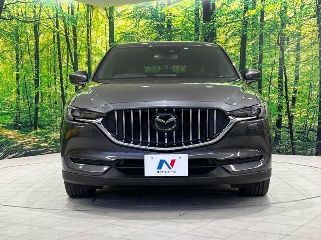 Mazda CX-8 2018-02 190060-15
