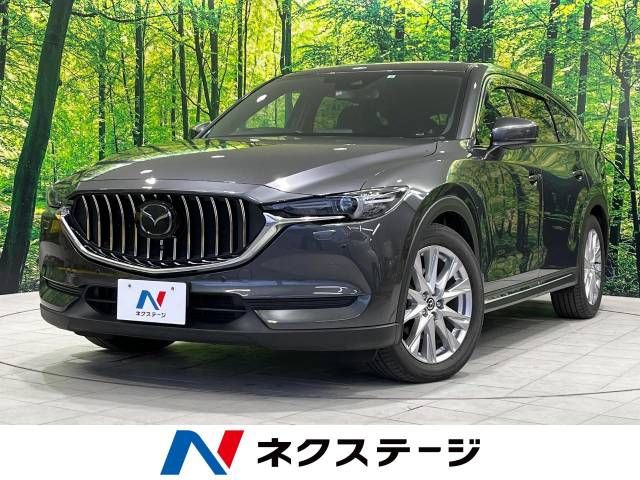 Mazda CX-8 2018-02 190060-0
