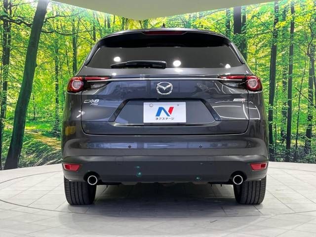 Mazda CX-8 2018-02 190060-16