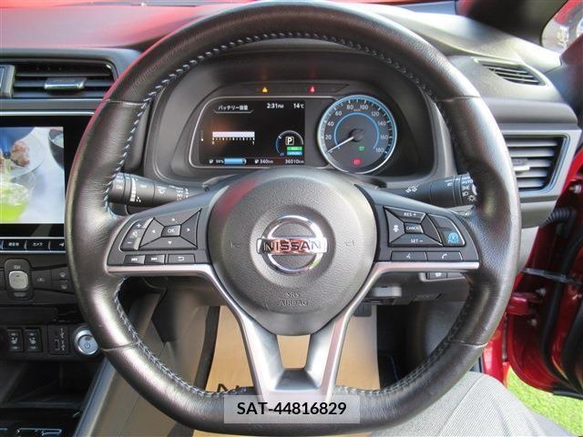 Nissan LEAF 2020-09 206141-9