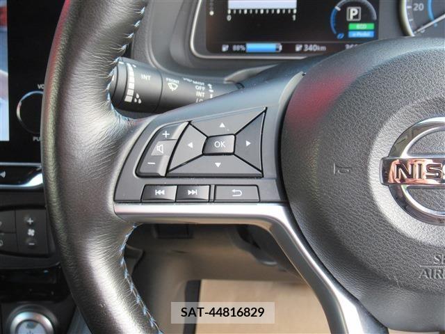 Nissan LEAF 2020-09 206141-19