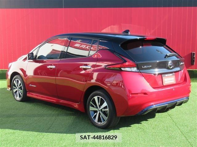 Nissan LEAF 2020-09 206141-1